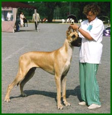 Arska 1,5 vuotiaaana