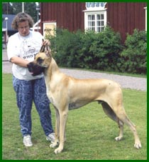 Arska 2,5 vuotiaana