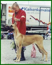 Iines 1998