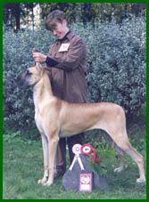 V�rin�yttely Sein�joki 1998
