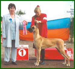 Iines BEST IN SHOW pentu, 8 kk ik�isen�