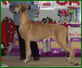 Iines PJV- n�yttelyss� 2006