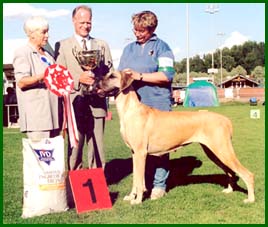 Iines BEST IN SHOW M�nts�l� 2002