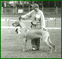 Blondi 1991 erikoisnäyttelyssä