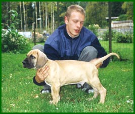 Valtti 8 vko ik�isen�