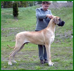 Valtti 9kk ik�isen�