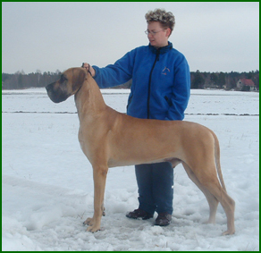 Valtti huhtikuussa 2006