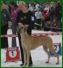 Misty Sein�joen n�yttelyss� 22.10.2005