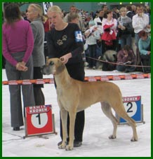 Misty Sein�joen n�yttelyss� 22.10.2005