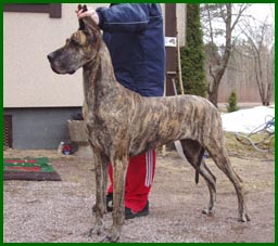 Wilma 4 v 2 kk ikäisenä