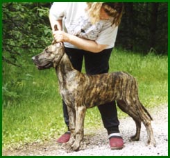 Wilma 3 kk ikäisenä