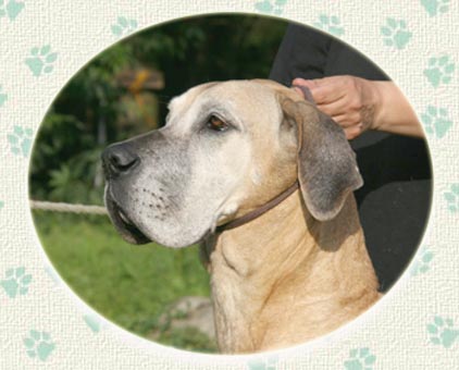 In memoriam Edendane's Miss Moneypenny