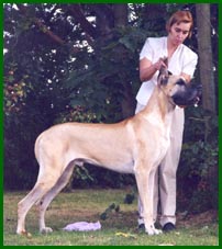 Fin & S MVA PMV-01 Edendane's Golden Eye