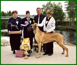 TOP-20 voittaja Sein�joki 2004