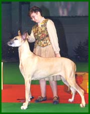 1996 Helsinki