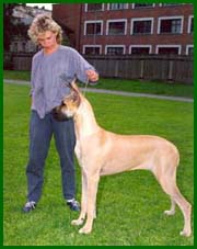 Wanda 8 kk ik�isen�