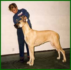 Wanda v�rin�yttelyn BIS 1991