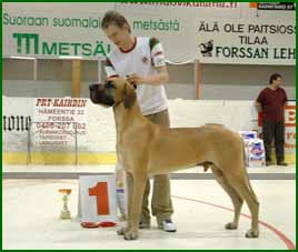 Valtti RYP-1 / BIG-1
