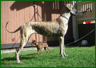 Hulda kes�ll� 2005