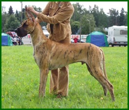 Kurko 15 kk ik�isen�