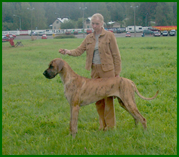 Kurko 15 kk ik�isen�
