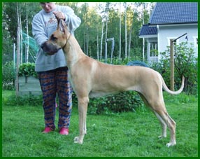 Terttu 15 kk ik�isen�
