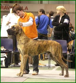 Viggo Lahdessa 22.4.2006 PU2 SERTI VACA