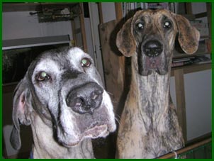 Minni & Hulda