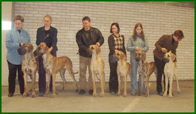 vas. Viggo, Kurko, Vihtori, Terttu, Hulda ja Sanni