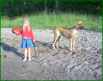 Telma rannalla heinäkuussa 2006